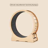 Roue pour chat L — grand format pour chats de grande taille