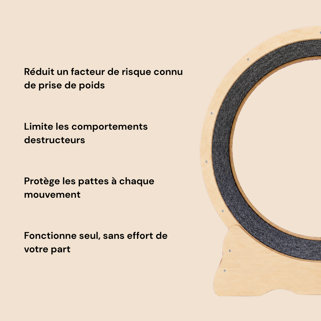 Roue pour chat S — format compact pour petits chats