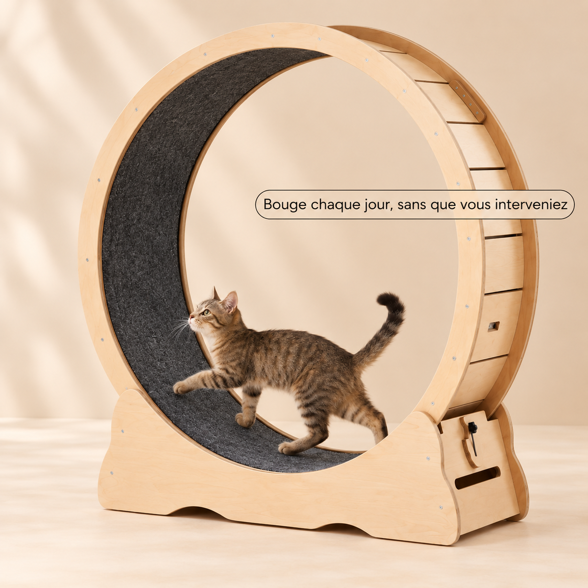 Roue pour chat L — grand format pour chats de grande taille