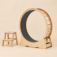 Roue pour chat L — grand format pour chats de grande taille