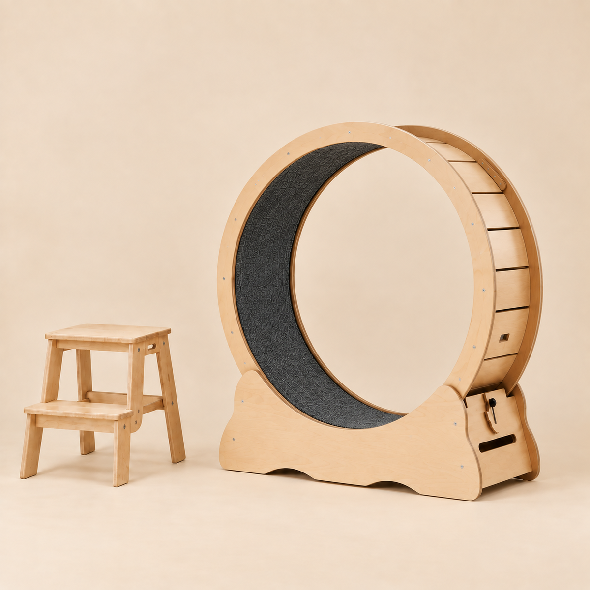 Roue pour chat M — le format polyvalent pour chats moyens