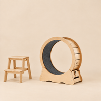 Roue pour chat S — format compact pour petits chats