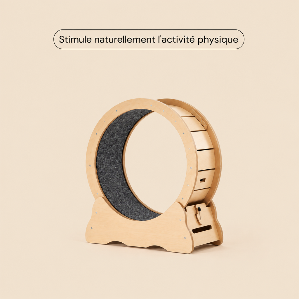 Roue pour chat S — format compact pour petits chats