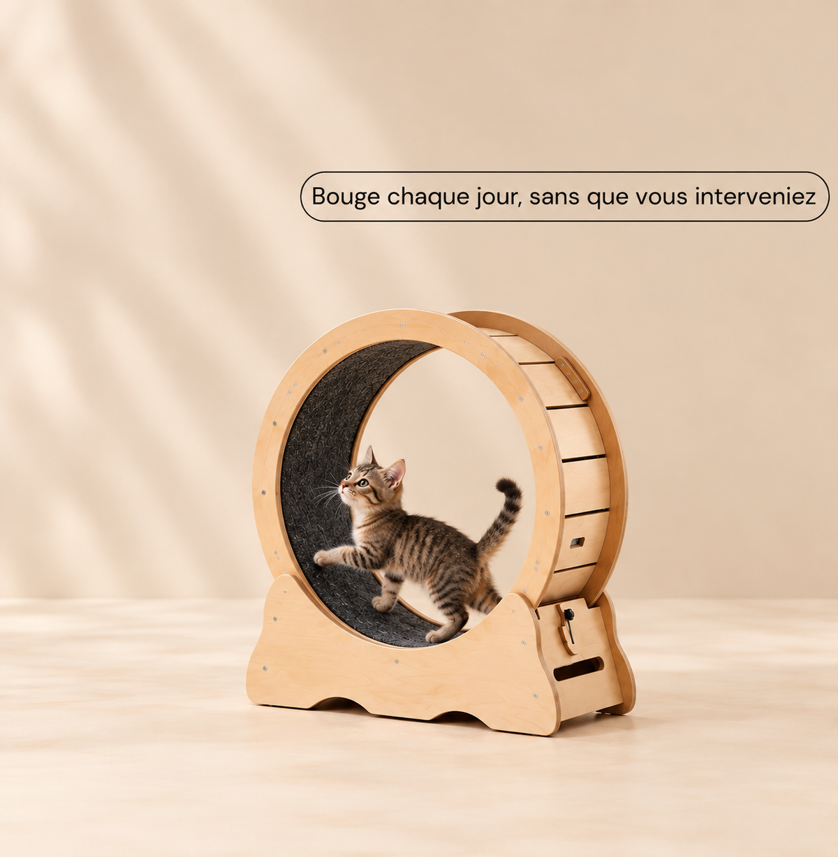 Roue pour chat S — format compact pour petits chats
