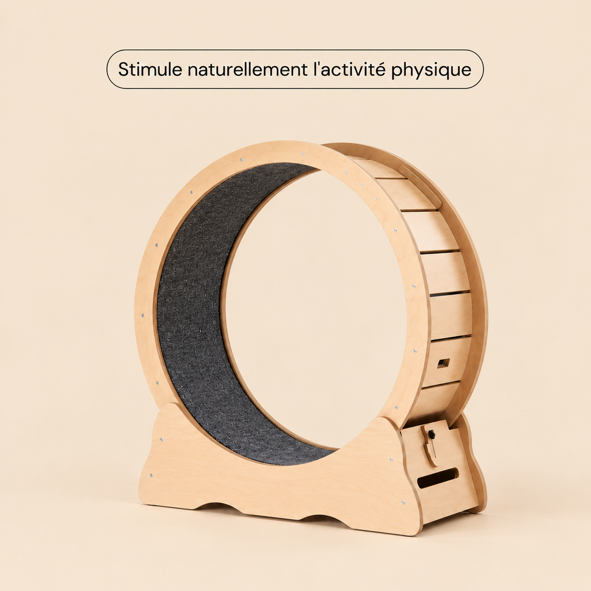 Roue pour chat M — le format polyvalent pour chats moyens