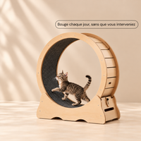 Roue pour chat M — le format polyvalent pour chats moyens