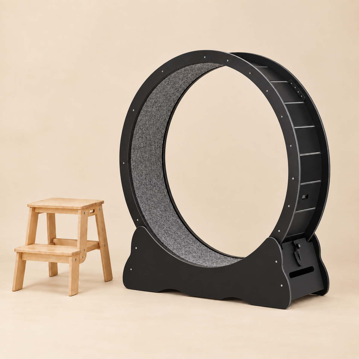 Roue pour chat L — grand format pour chats de grande taille